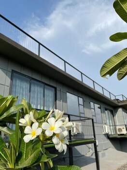 amarjas damtop haven