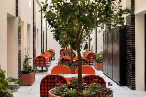 hotel bazaar fattal colors