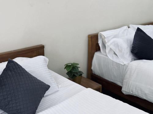 Thamarassery Inn Luxury And Budget Rooms,,2 star