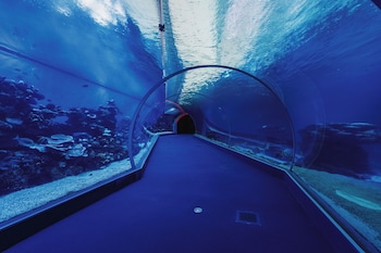 eilat