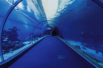 eilat