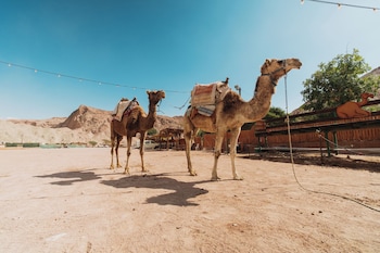 eilat