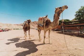 eilat