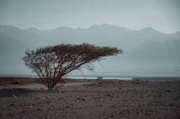 eilat