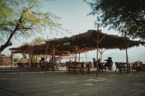 royal park apt resort by sea n rent
