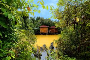 Borneo Tropical Rainforest Resort,Marudi>>Bintulu,3 star