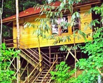borneo tropical rainforest resort