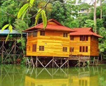 borneo tropical rainforest resort