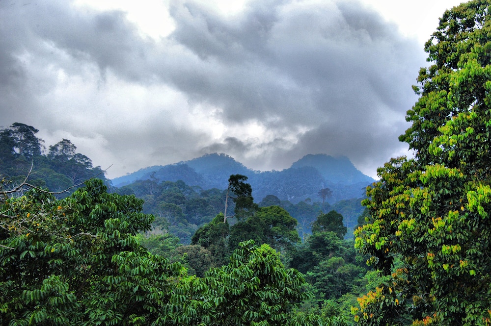 borneo tropical rainforest resort