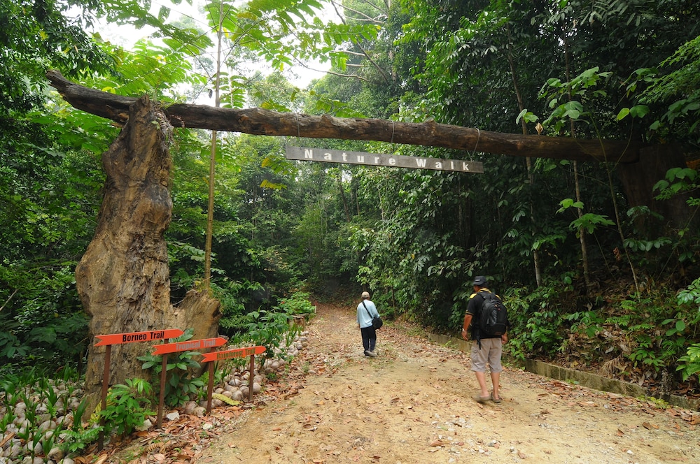 borneo tropical rainforest resort