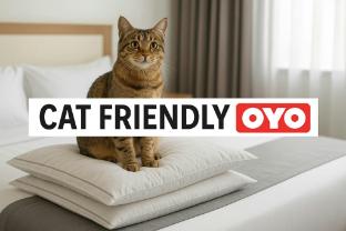 skylark motel by oyo