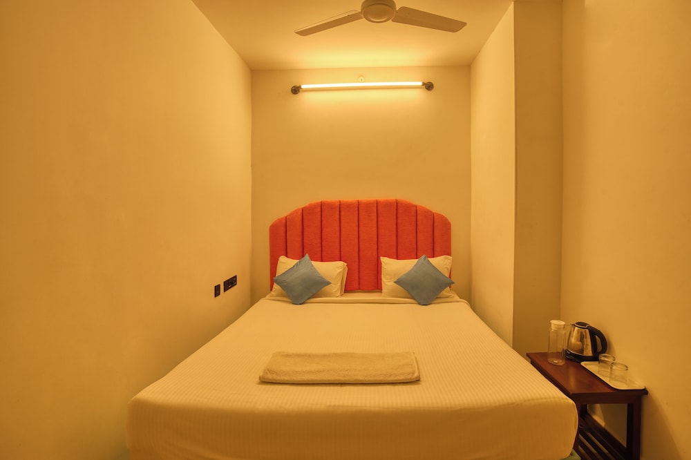 daffodils by la maison charu