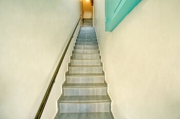 daffodils by la maison charu