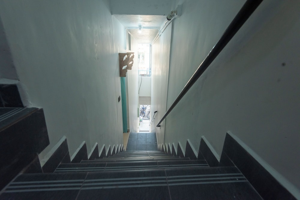 daffodils by la maison charu