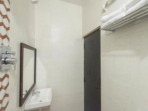 daffodils by la maison charu