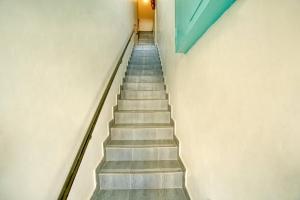 daffodils by la maison charu