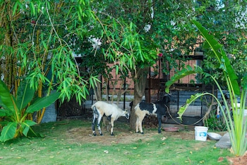 serene resort and convention