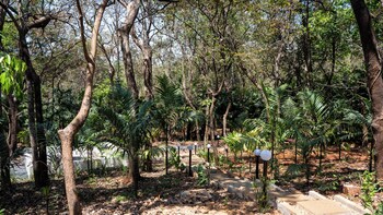 the inaka goa
