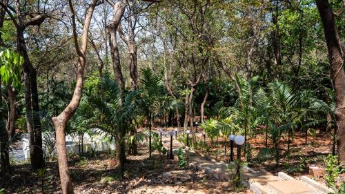 the inaka goa