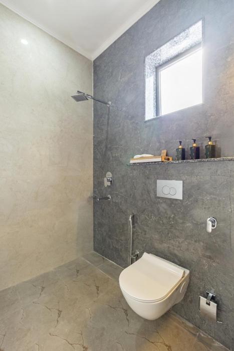 elivaas 5 bhk with pvt pool zenora