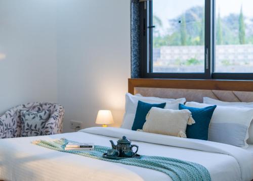 elivaas 5 bhk with pvt pool zenora