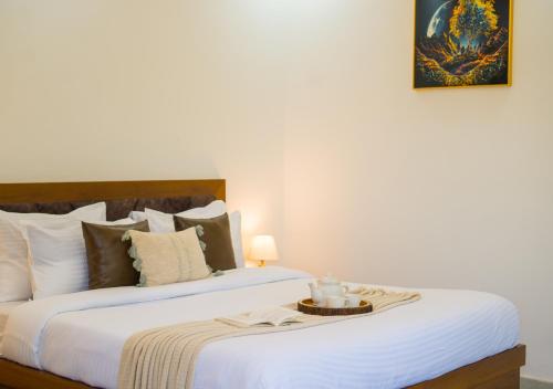 elivaas 5 bhk with pvt pool zenora