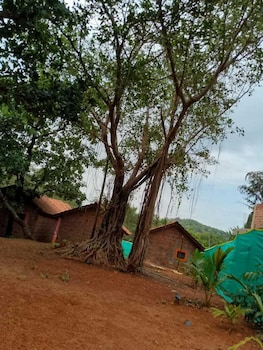 parvati gust house
