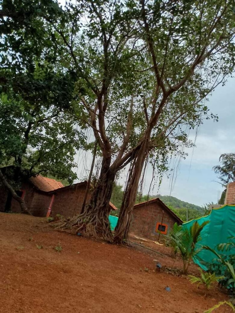 parvati gust house