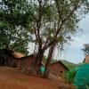 parvati gust house