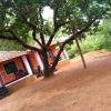 parvati gust house