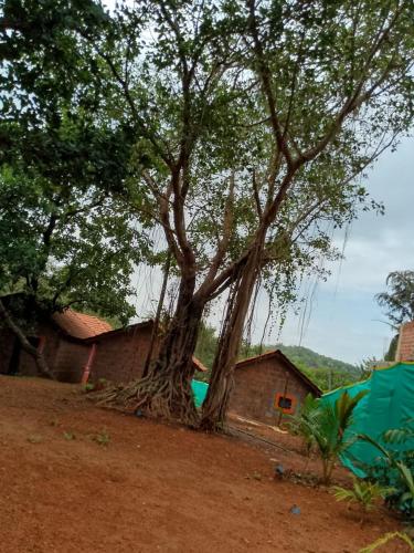 parvati gust house