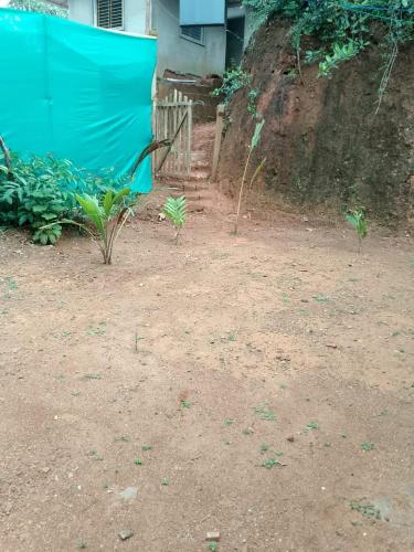 parvati gust house