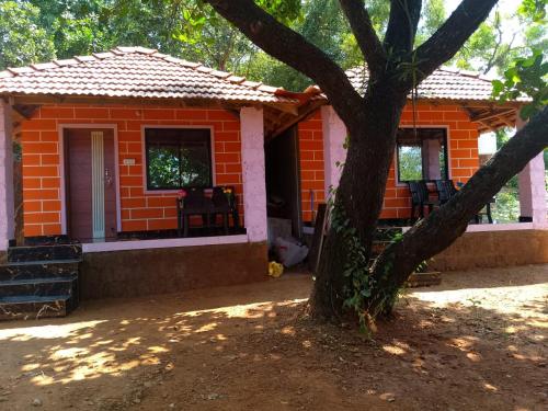parvati gust house