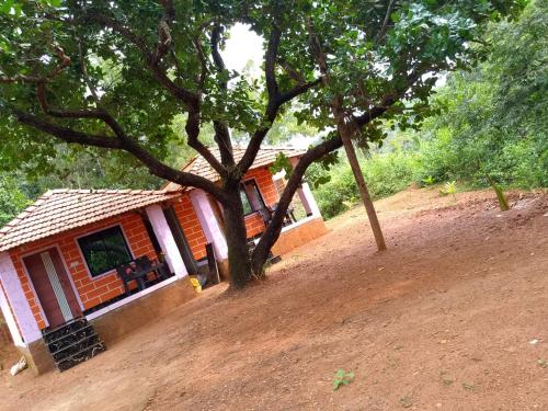 parvati gust house