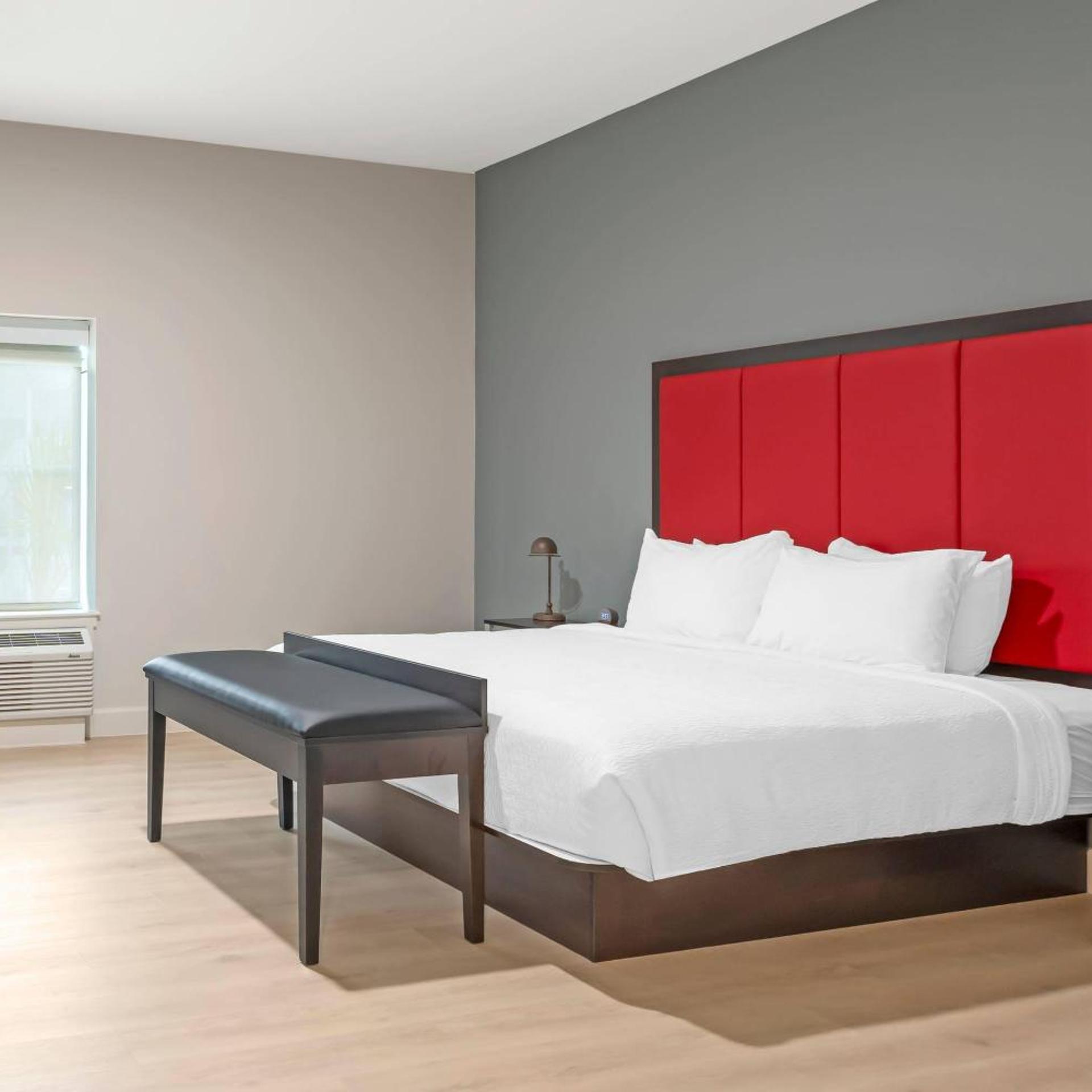 the j hotel dunedin clearwater an ascend collection hotel