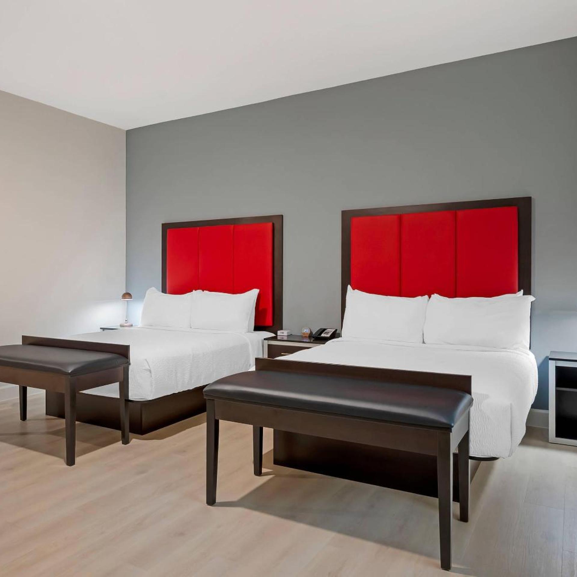 the j hotel dunedin clearwater an ascend collection hotel