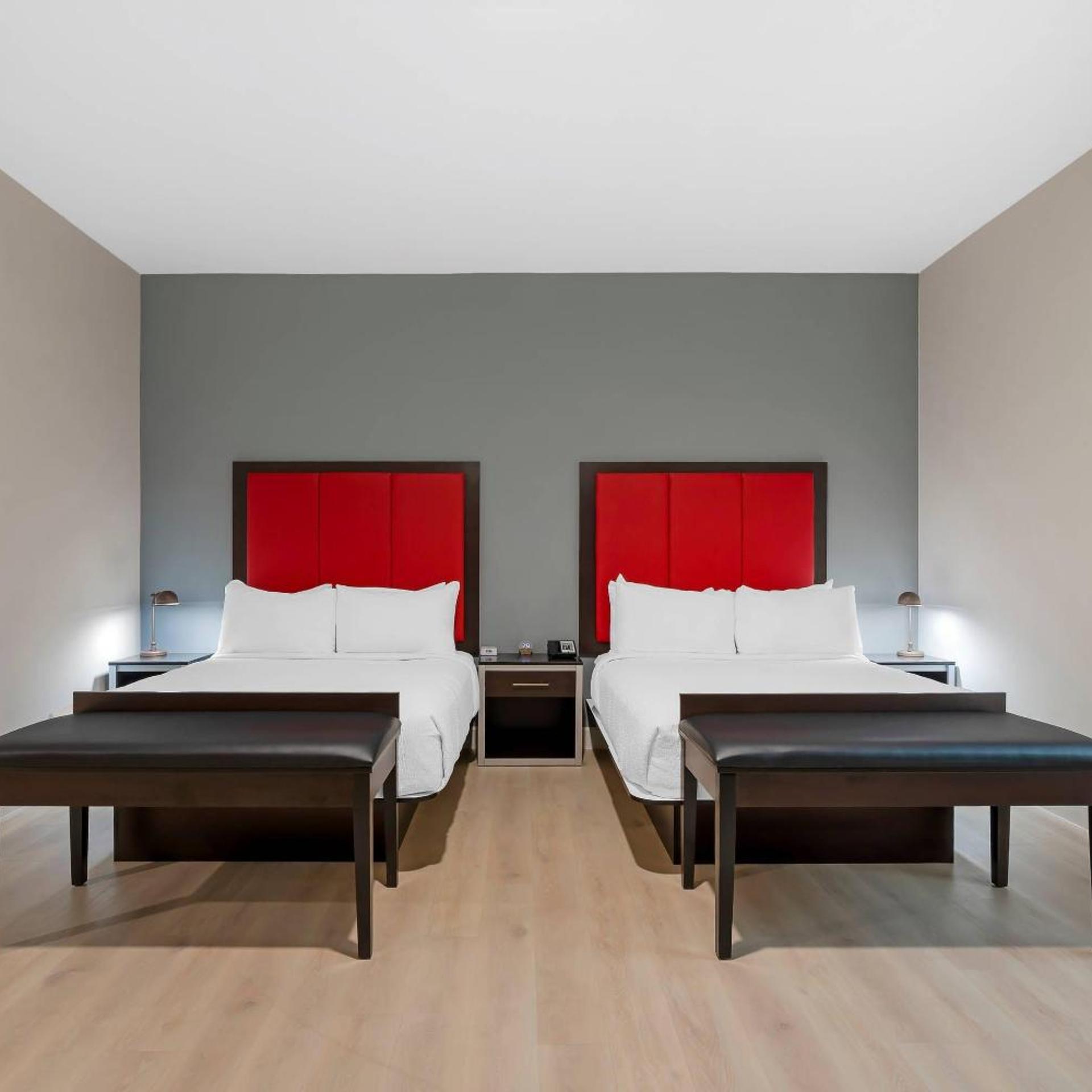 the j hotel dunedin clearwater an ascend collection hotel