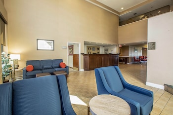 quality suites