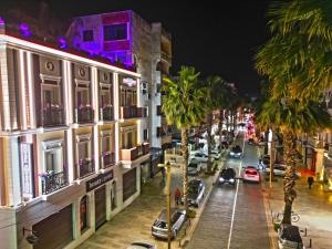 ambasador hotel