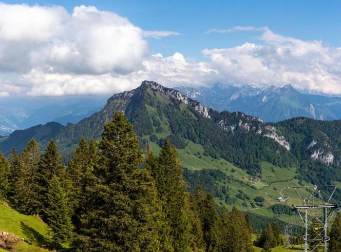 rigi burggeist