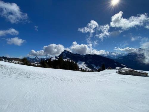 rigi burggeist