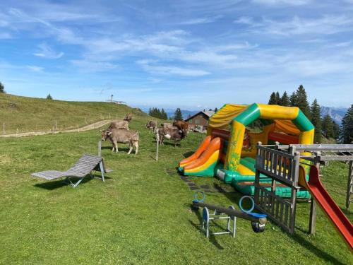 rigi burggeist
