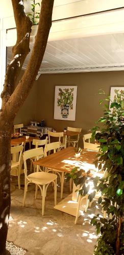 casa dominova de luxe