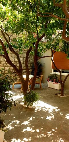 casa dominova de luxe