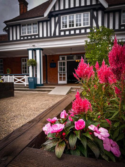 the pavilion bisley