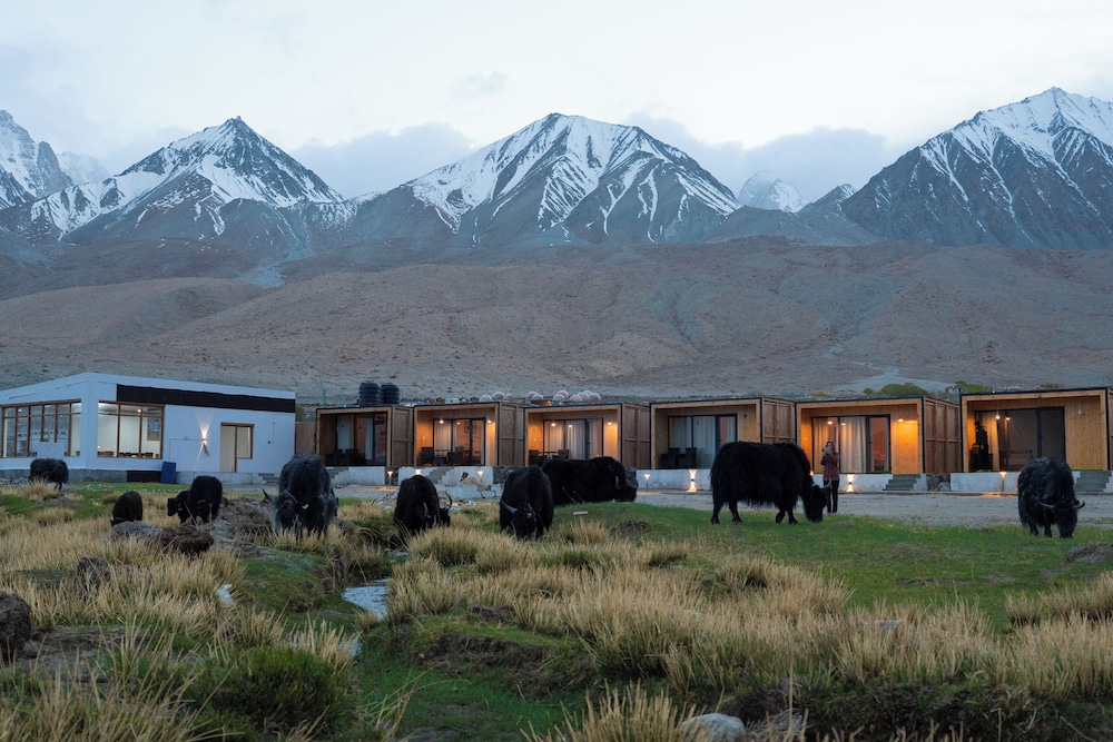 saser scenic pangong