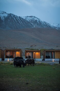saser scenic pangong