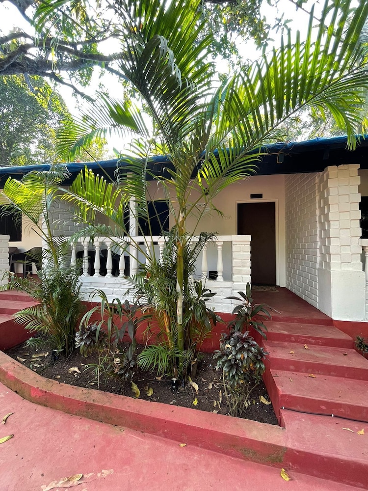 kites hostel and rooms vagator goa
