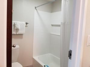 the bradford hotel ascend hotel collection