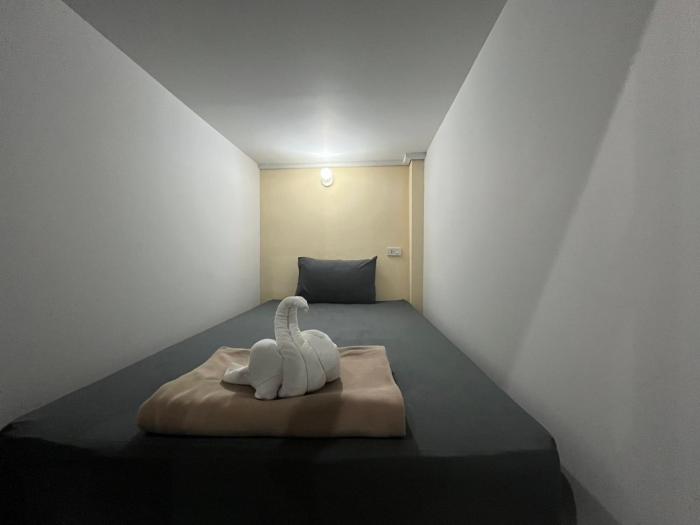 3 tigers resort and hostel